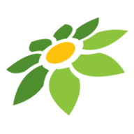 MANGO APK MOD